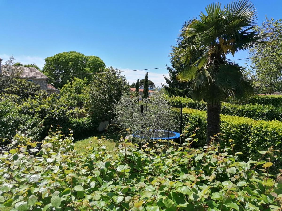 Summertime In Apartment Porec